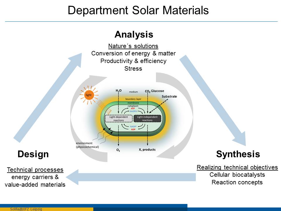 Department Solare Materialien